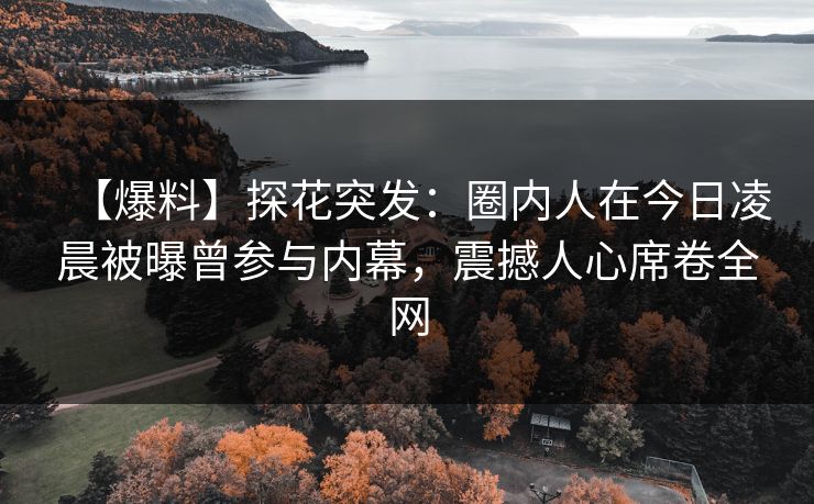 【爆料】探花突发：圈内人在今日凌晨被曝曾参与内幕，震撼人心席卷全网