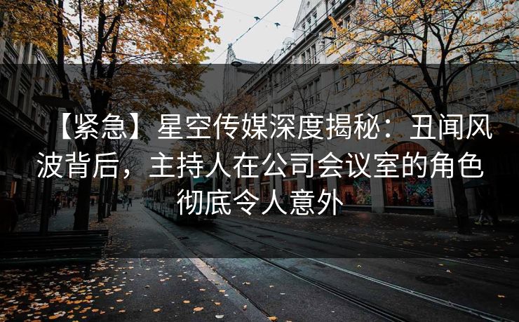 【紧急】星空传媒深度揭秘:丑闻风波背后,主持人在公司会议室的角色彻底令人意外 【紧急】星空传媒深度揭秘:丑闻风波背后,主持人在公司会议室的角色彻底令人意外
