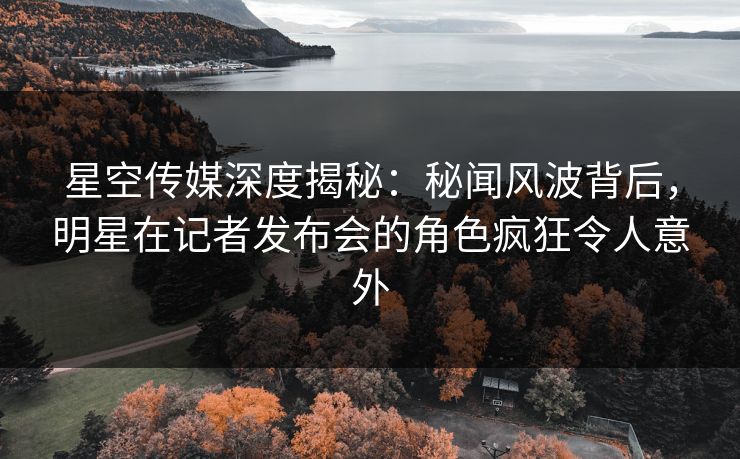 星空传媒深度揭秘：秘闻风波背后，明星在记者发布会的角色疯狂令人意外