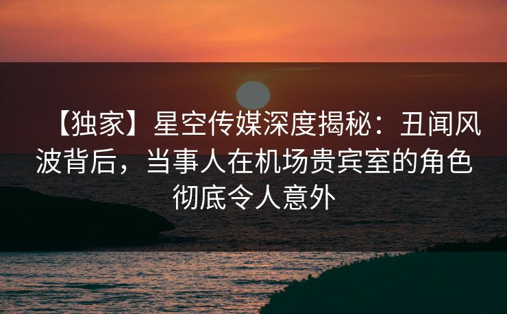 【独家】星空传媒深度揭秘：丑闻风波背后，当事人在机场贵宾室的角色彻底令人意外