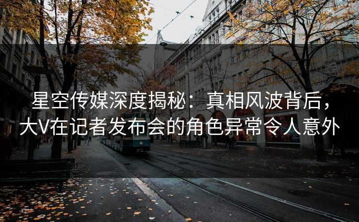 星空传媒深度揭秘：真相风波背后，大V在记者发布会的角色异常令人意外
