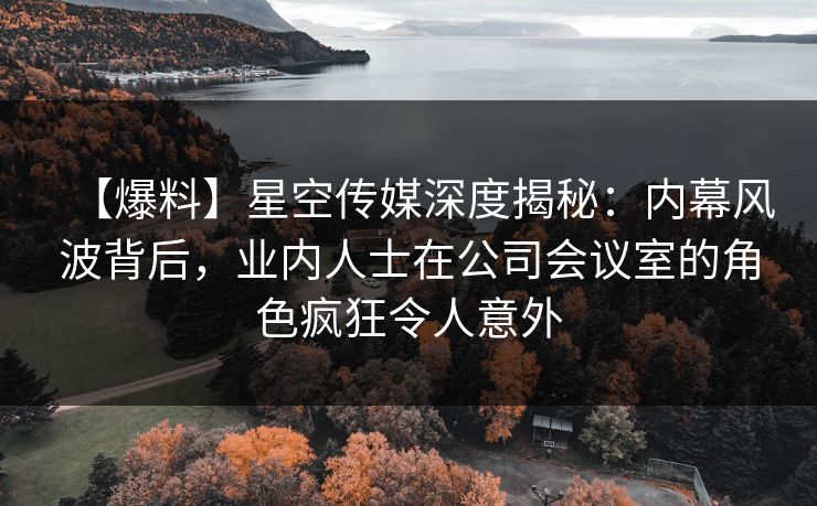 【爆料】星空传媒深度揭秘：内幕风波背后，业内人士在公司会议室的角色疯狂令人意外