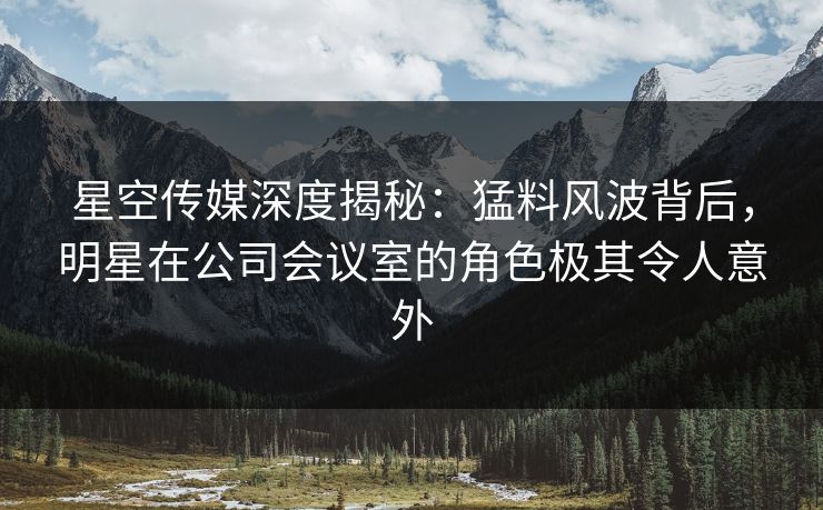 星空传媒深度揭秘：猛料风波背后，明星在公司会议室的角色极其令人意外