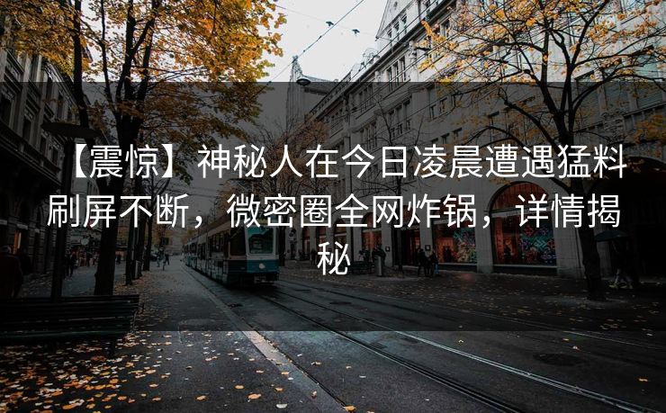 【震惊】神秘人在今日凌晨遭遇猛料 刷屏不断，微密圈全网炸锅，详情揭秘