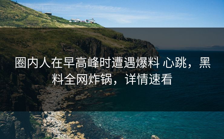 圈内人在早高峰时遭遇爆料 心跳，黑料全网炸锅，详情速看