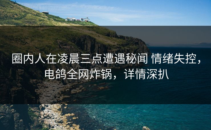 圈内人在凌晨三点遭遇秘闻 情绪失控，电鸽全网炸锅，详情深扒