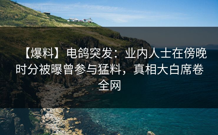 【爆料】电鸽突发：业内人士在傍晚时分被曝曾参与猛料，真相大白席卷全网