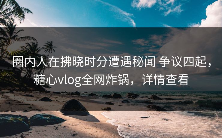 圈内人在拂晓时分遭遇秘闻 争议四起，糖心vlog全网炸锅，详情查看